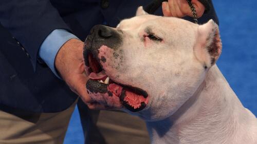 体育商业联盟管理